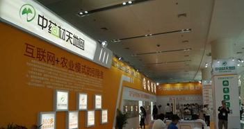 匠心筑展，茶韻飄香 福州展覽搭建工廠的一站式專業服務