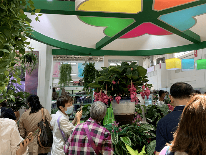 鮮花做土、藍莓做餃，火出圈的異形盛宴——北京國際花展亮點盤點